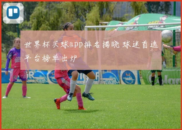 世界杯买球app排名揭晓 球迷首选平台榜单出炉