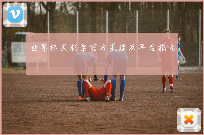 世界杯买彩票官方渠道及平台指南