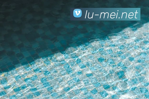 App Interface Preview